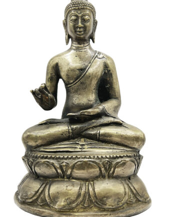 Statue Buddha Amogashidhi
